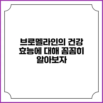 브로멜라인의 건강 효능에 대해 꼼꼼히 알아보자
