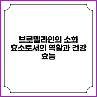 브로멜라인의 소화 효소로서의 역할과 건강 효능