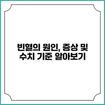 빈혈의 원인, 증상 및 수치 기준 알아보기