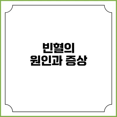 빈혈의 원인과 증상