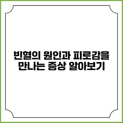 빈혈의 원인과 피로감을 만나는 증상 알아보기