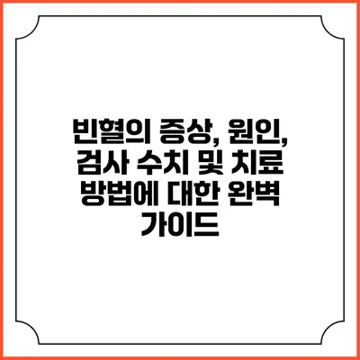빈혈의 증상, 원인, 검사 수치 및 치료 방법에 대한 완벽 가이드