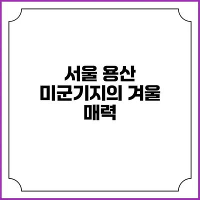 서울 용산 미군기지의 겨울 매력