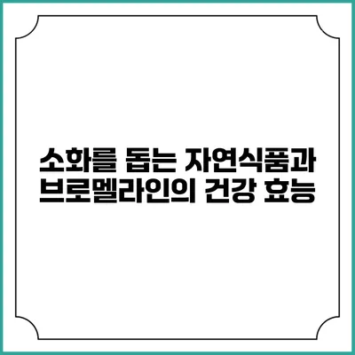소화를 돕는 자연식품과 브로멜라인의 건강 효능