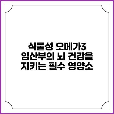 식물성 오메가3: 임산부의 뇌 건강을 지키는 필수 영양소