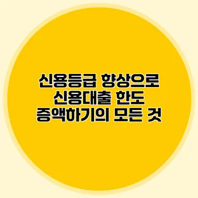 신용등급 향상으로 신용대출 한도 증액하기의 모든 것