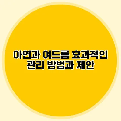 아연과 여드름: 효과적인 관리 방법과 제안
