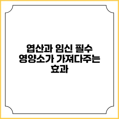 엽산과 임신: 필수 영양소가 가져다주는 효과