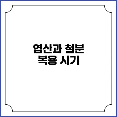 엽산과 철분 복용 시기