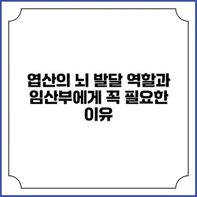 엽산의 뇌 발달 역할과 임산부에게 꼭 필요한 이유