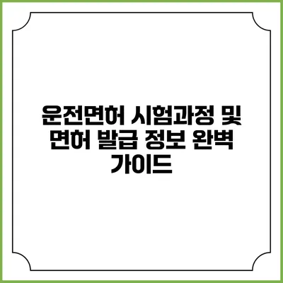 운전면허 시험과정 및 면허 발급 정보 완벽 가이드