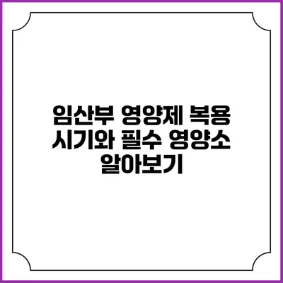 임산부 영양제 복용 시기와 필수 영양소 알아보기