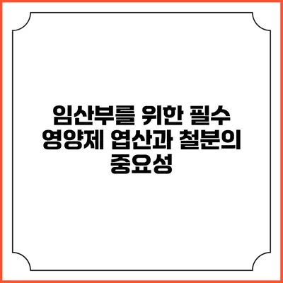 임산부를 위한 필수 영양제: 엽산과 철분의 중요성