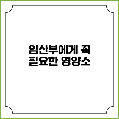 임산부에게 꼭 필요한 영양소