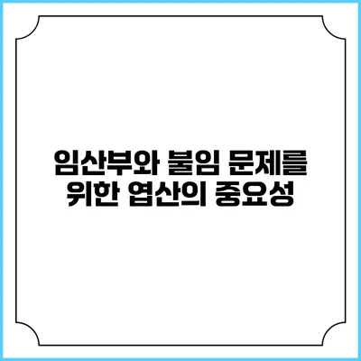 임산부와 불임 문제를 위한 엽산의 중요성