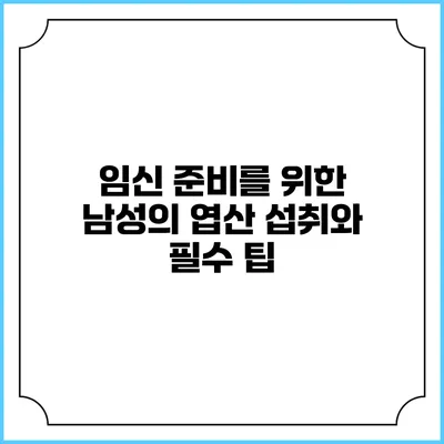 임신 준비를 위한 남성의 엽산 섭취와 필수 팁