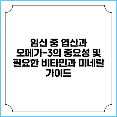 임신 중 엽산과 오메가-3의 중요성 및 필요한 비타민과 미네랄 가이드