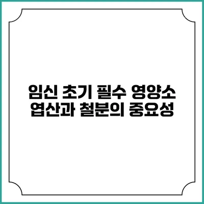 임신 초기 필수 영양소: 엽산과 철분의 중요성