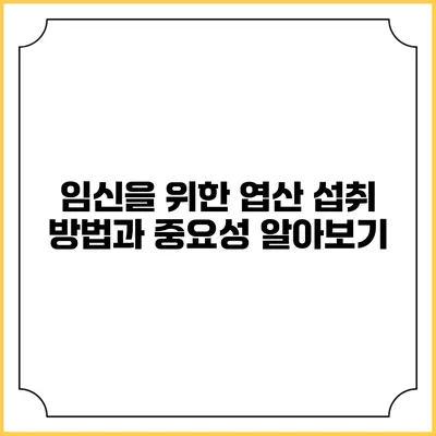 임신을 위한 엽산 섭취 방법과 중요성 알아보기