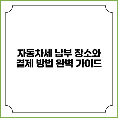 자동차세 납부 장소와 결제 방법 완벽 가이드