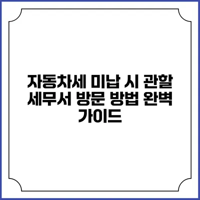 자동차세 미납 시 관할 세무서 방문 방법 완벽 가이드