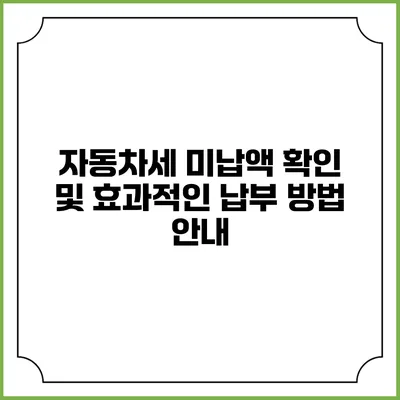 자동차세 미납액 확인 및 효과적인 납부 방법 안내