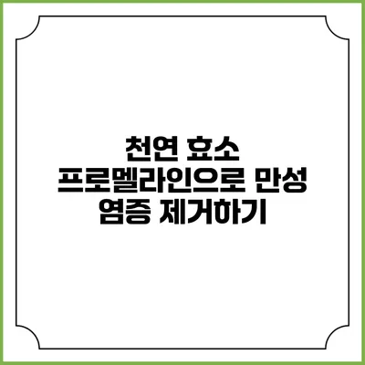천연 효소 프로멜라인으로 만성 염증 제거하기