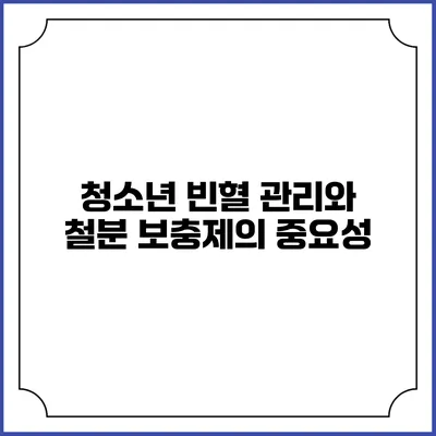 청소년 빈혈 관리와 철분 보충제의 중요성