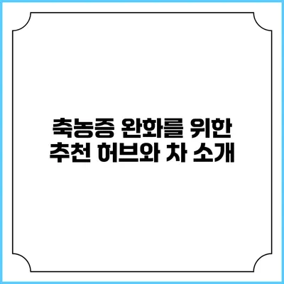 축농증 완화를 위한 추천 허브와 차 소개