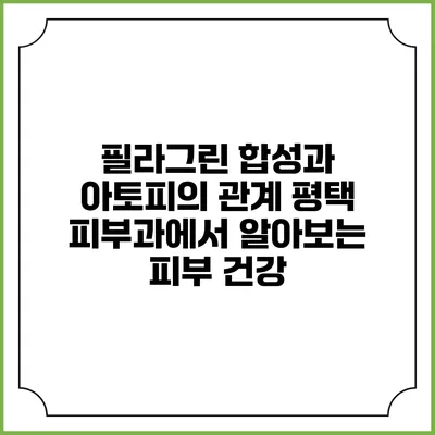 필라그린 합성과 아토피의 관계: 평택 피부과에서 알아보는 피부 건강