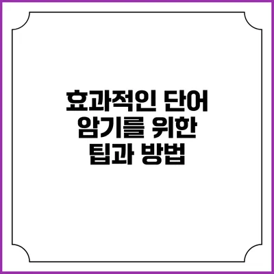 효과적인 단어 암기를 위한 팁과 방법