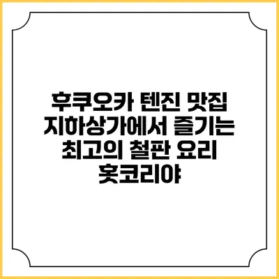 후쿠오카 텐진 맛집 지하상가에서 즐기는 최고의 철판 요리 홋코리야