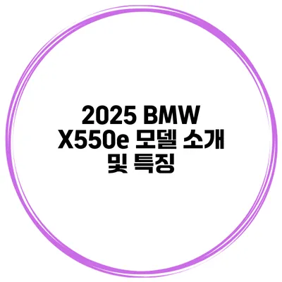 2025 BMW X550e 모델 소개 및 특징