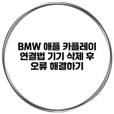 BMW 애플 카플레이 연결법 기기 삭제 후 오류 해결하기