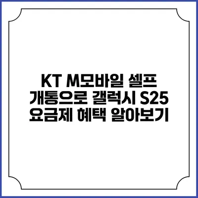 KT M모바일 셀프 개통으로 갤럭시 S25 요금제 혜택 알아보기