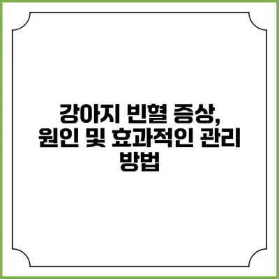 강아지 빈혈: 증상, 원인 및 효과적인 관리 방법