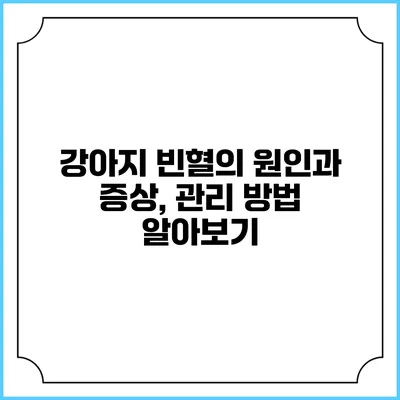 강아지 빈혈의 원인과 증상, 관리 방법 알아보기