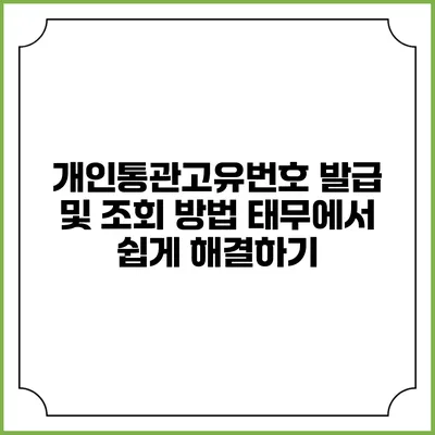 개인통관고유번호 발급 및 조회 방법: 태무에서 쉽게 해결하기