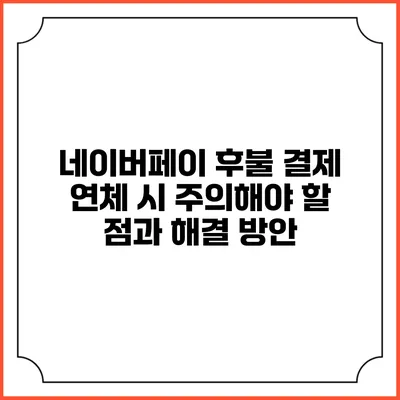 네이버페이 후불 결제 연체 시 주의해야 할 점과 해결 방안