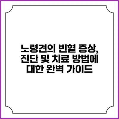 노령견의 빈혈: 증상, 진단 및 치료 방법에 대한 완벽 가이드