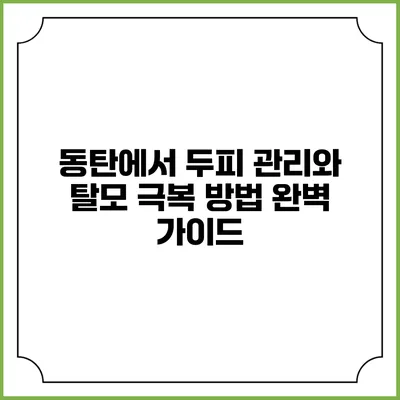 동탄에서 두피 관리와 탈모 극복 방법 완벽 가이드