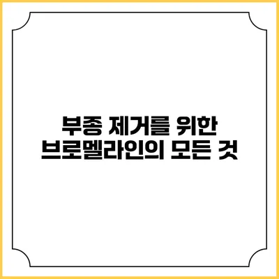 부종 제거를 위한 브로멜라인의 모든 것
