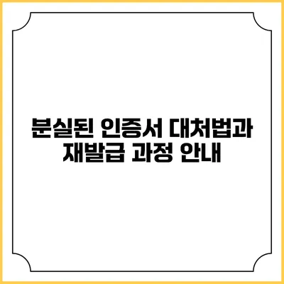 분실된 인증서 대처법과 재발급 과정 안내