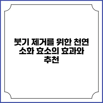 붓기 제거를 위한 천연 소화 효소의 효과와 추천