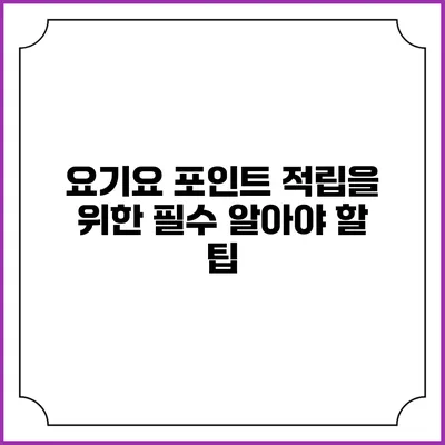 요기요 포인트 적립을 위한 필수 알아야 할 팁