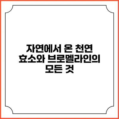 자연에서 온 천연 효소와 브로멜라인의 모든 것