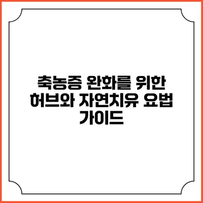축농증 완화를 위한 허브와 자연치유 요법 가이드