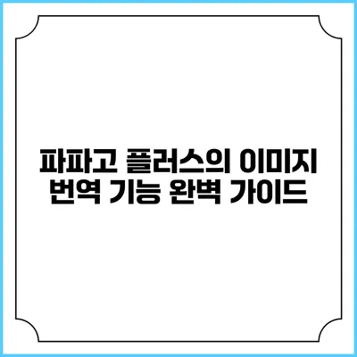 파파고 플러스의 이미지 번역 기능 완벽 가이드